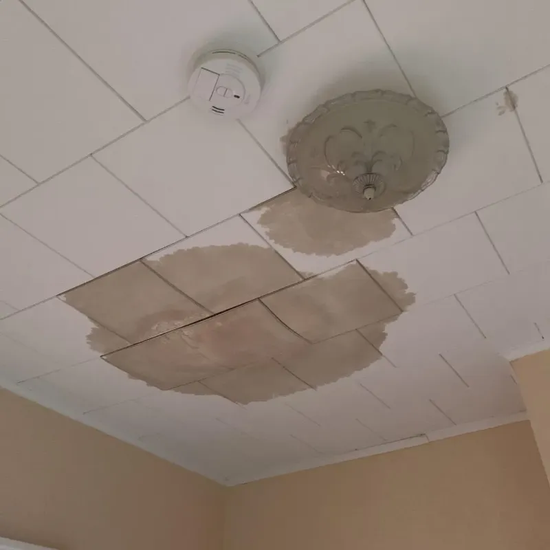 Ceiling Water Damage Repair in Mount Pleasant, IA