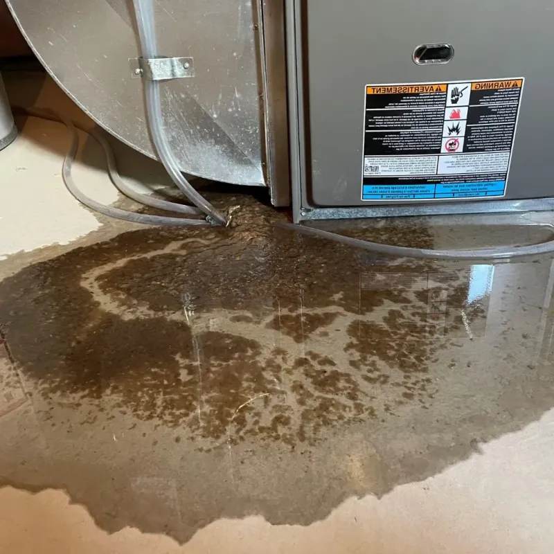 Pipe Burst and Leak Restoration in Mount Pleasant, IA