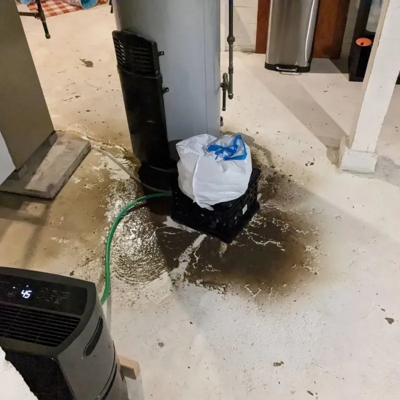 Sewage Backup Cleanup Service in Mount Pleasant, IA